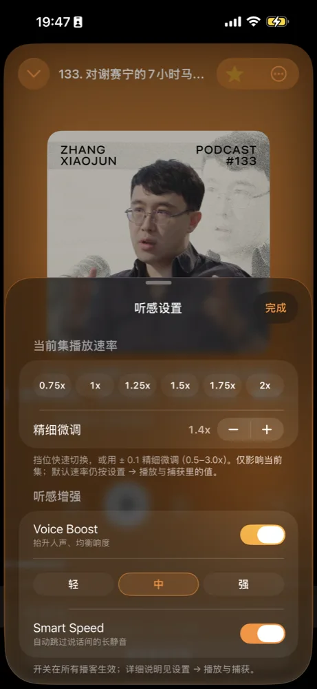 听感设置：Smart Speed 与 Voice Boost